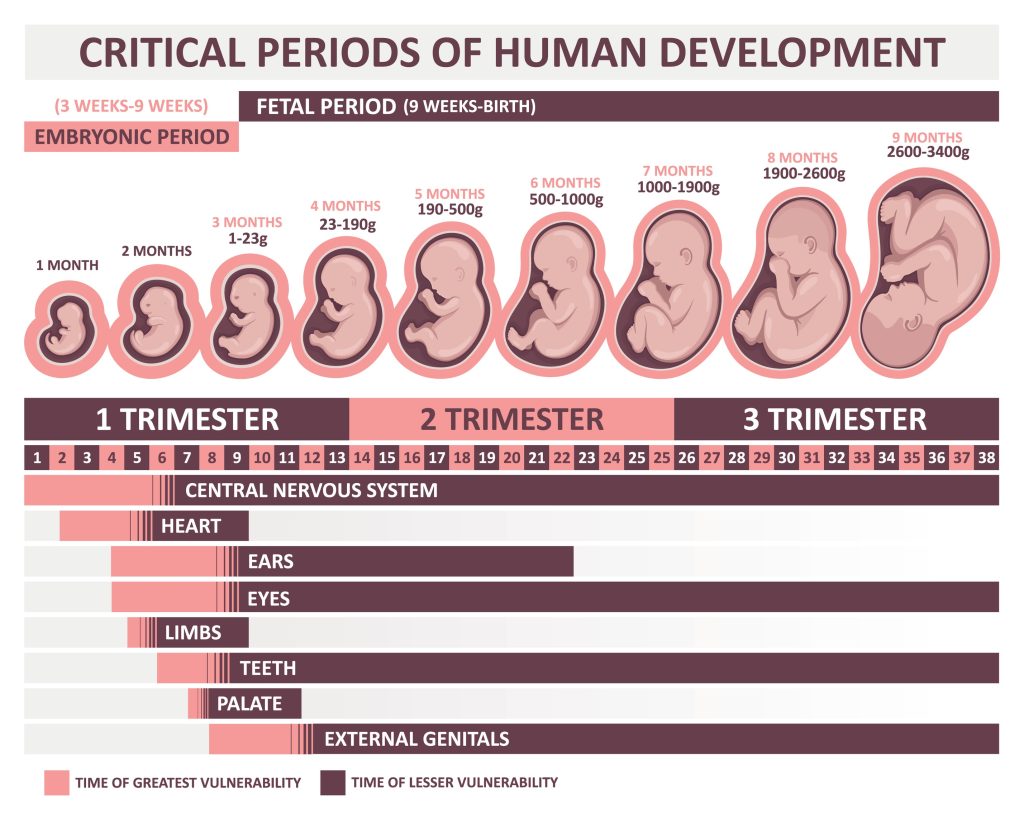 Causes of defective baby